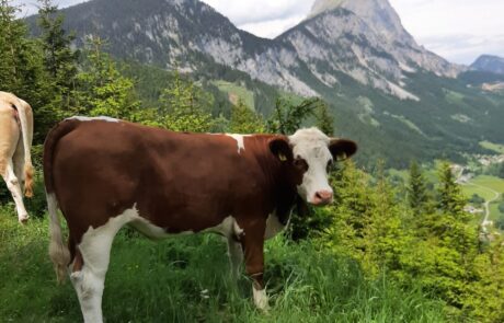 20250605_141450-scaled