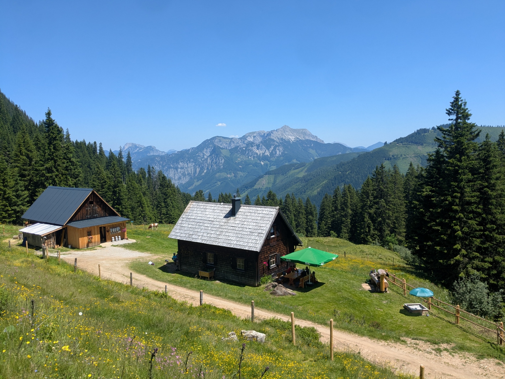 PXL_20250622_112147264