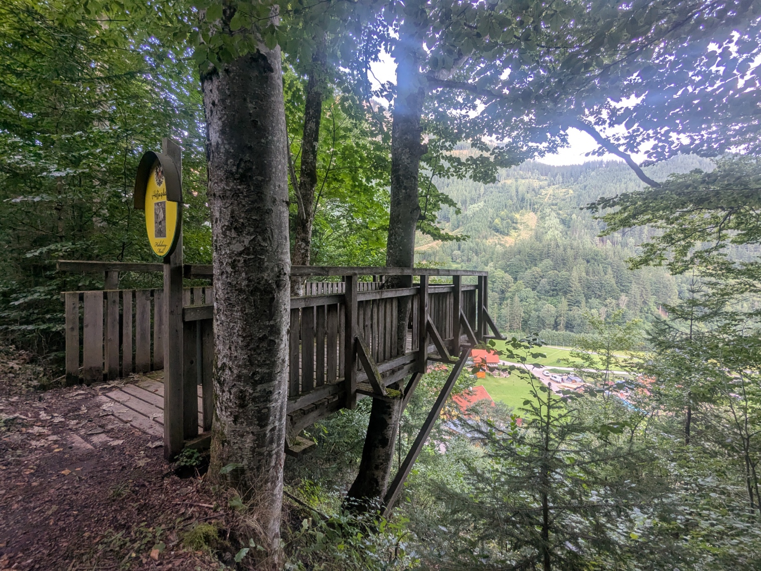 PXL_20250818_173344491